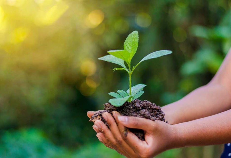 आज विश्व वातावरण दिवस, प्लास्टिकजन्य प्रदूषण रोकथाममा जोड