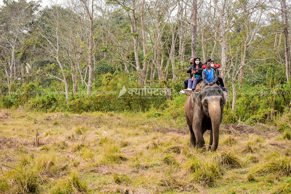 चितवन राष्ट्रिय निकुञ्ज भ्रमण गर्दाको  रमाइलो  क्षण : फोटो फिचर