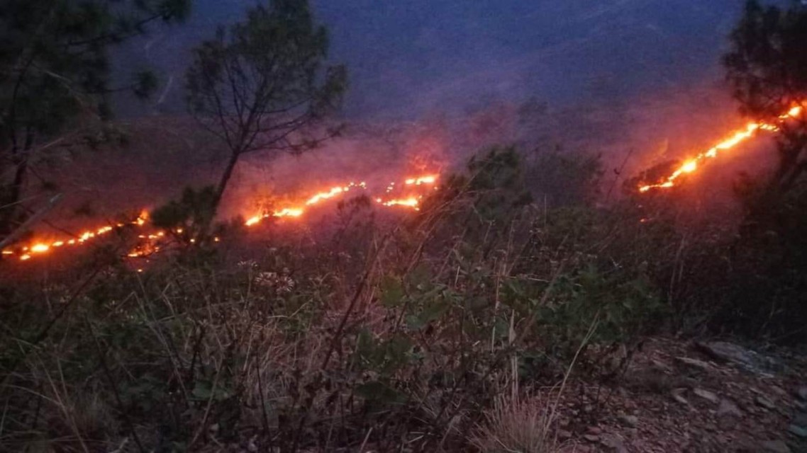 रामेछापको चार हजार पाँच सय हेक्टर वन सखाप