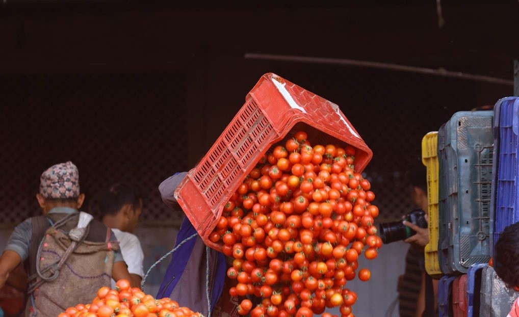 बढ्यो गोलभेँडाको मूल्य 