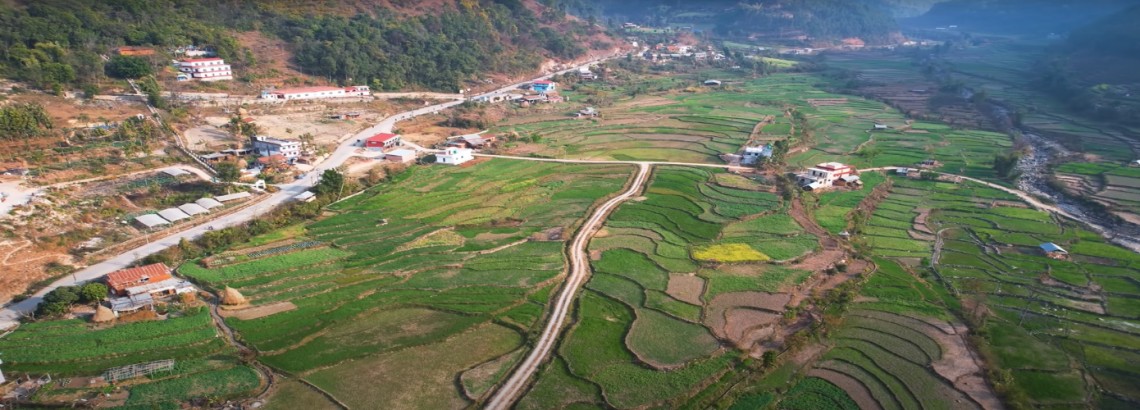 स्थानीय तह कार्यसम्पादनमा पाणिनि पहिलो