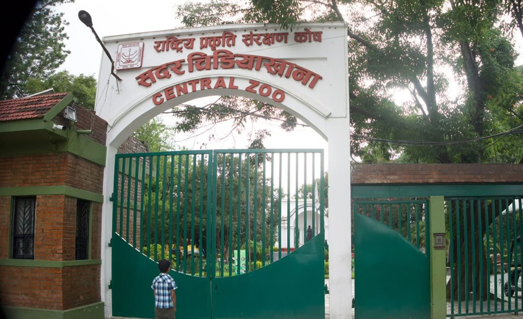 बर्डफ्लुको त्रासपछि जावलाखेल चिडियाखाना बन्द