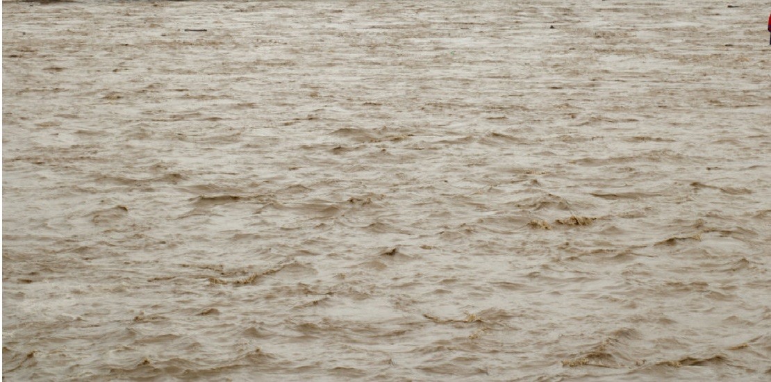 तिनाउ खोलाले बगाएर अर्याल बेपत्ता