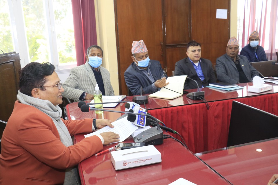 विद्युत् प्राधिकरणको सहायक कम्पनीलाई सरकारले दियो व्यापारको लागि अनुमति