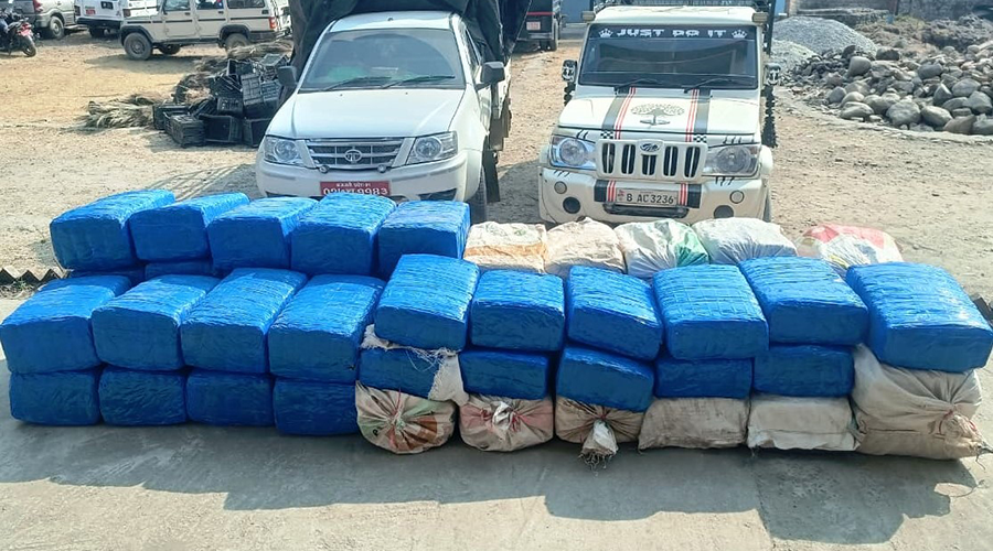 धरानमा ९५५ किलो गाँजा बरामद, दुई चालक पक्राउ