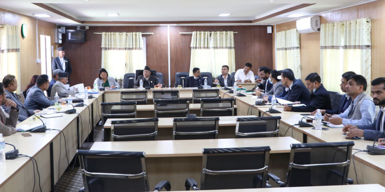 तीन दिनभित्र संसद्का विषयगत समितिको बैठक बस्ने सहमति