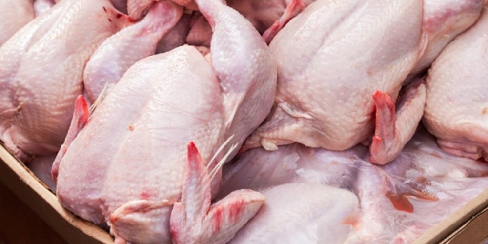 मरेको ब्रोइलर कुखुराको मासु खाँदा कैलालीमा दुई बालकको मृत्यु