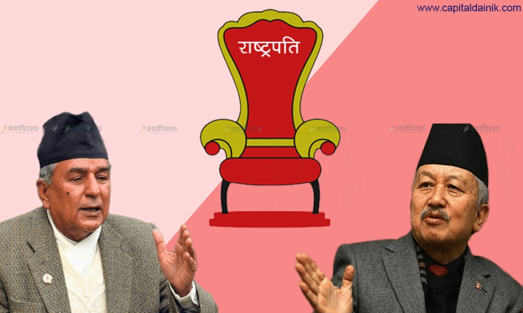 भोलि हुने राष्ट्रपति चुनावका लागि तयारी अन्तिम चरणमा