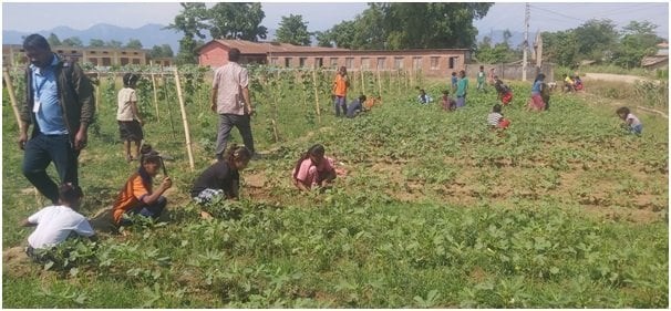 पढाइसँगै करेसाबारी स्याहार्दै विद्यार्थी