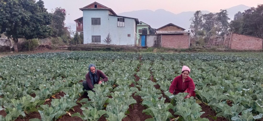 विषादीमुक्त प्रदेश निर्माणको अभियानमा कर्णाली सरकार