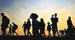पाकिस्तानद्वारा ७६३ अफगान कैदी रिहा, एकै दिन ३७ सय शरणार्थी स्वदेश फिर्ता