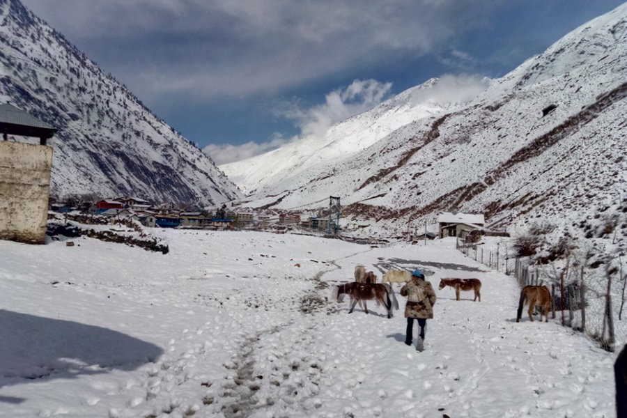 हिमपातले डोल्पाका बिद्यालय  बार्षिक परिक्षा प्रभाबित