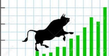 नेप्सेमा एकल अंकको वृद्धि, १ अर्ब १४ करोडको कारोबार