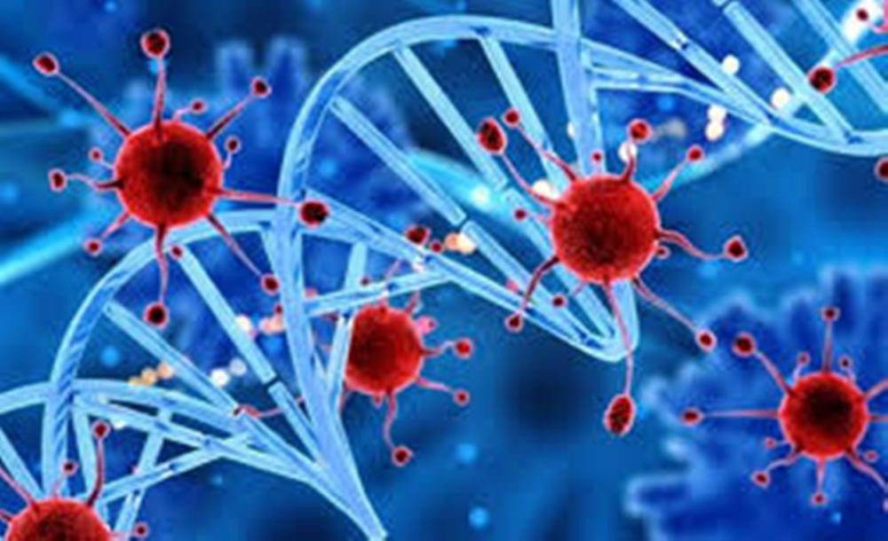 नेपालमा ओमिक्रोनको नयाँ भेरिएन्ट पुष्टि