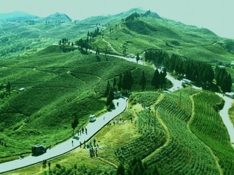 आन्दोलनमा जाने चिया श्रमिकको चेतावनी