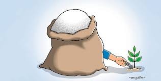 समयमै मल नल्याउने दुई कम्पनीसँगको ठेक्का सम्झौता रद्द