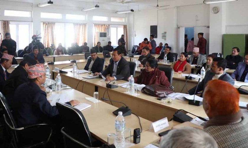 कम्पनीमाथि निगरानी बढाउन उद्योग समितिको निर्देशन