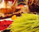 आज पनि बडादशैंको टीका लगाउने क्रम जारी