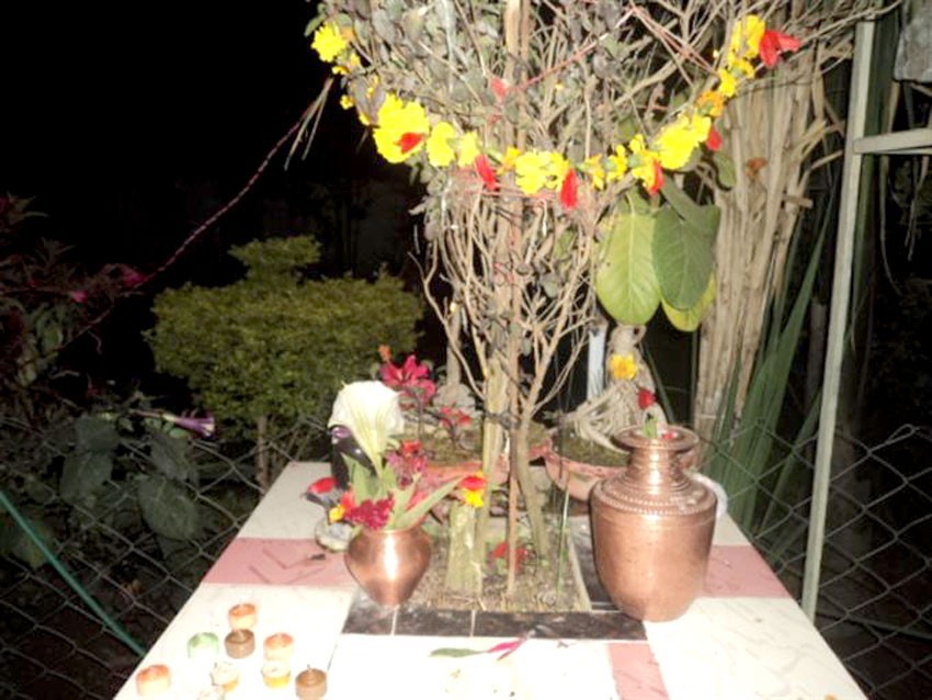 आज हरि बोधिनी एकादशी : तुलसी र दामोदरको विवाह गरिँदै