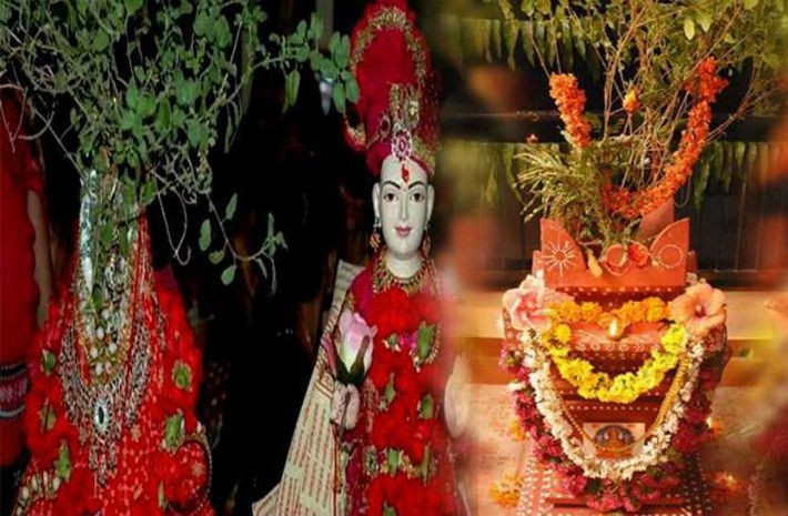 तुलसीलाई विवाह गरिने हरिबोधिनी एकादशी आज मनाइँदै