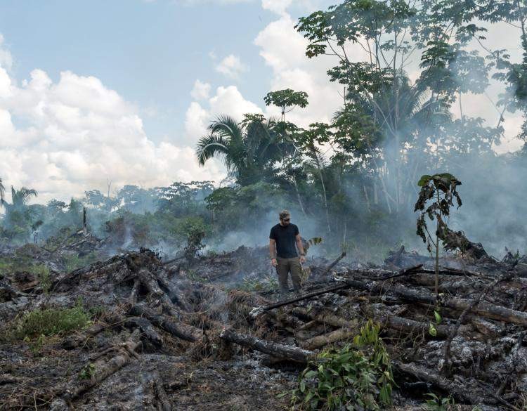 ब्राजिलमा अमेजनको वन विनाश पछिल्लो १२ वर्षयताकै उच्च