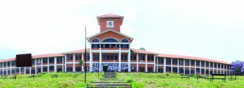 पारिश्रमिक नपाएका त्रिविका आंशिक प्राध्यापक दुई दिनदेखि धर्नामा