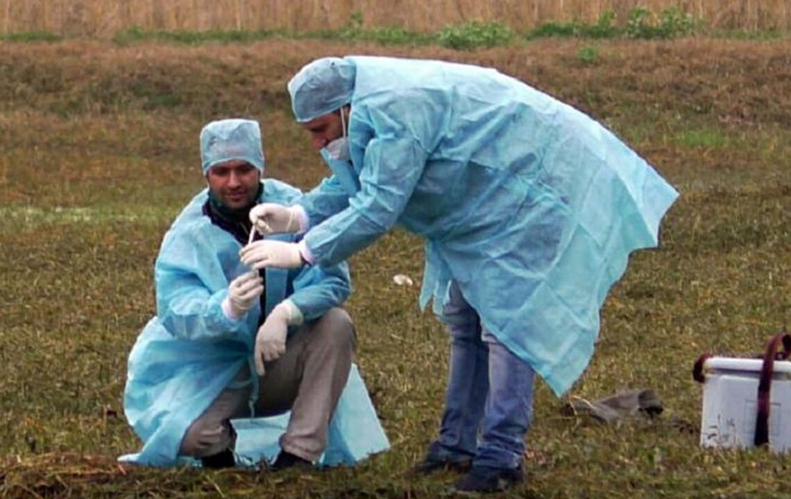 भारतमा बर्डफ्लुको प्रकोप, नेपालमा पनि त्रास