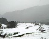 वर्षासँगै म्याग्दी र मुस्ताङमा हिमपात,जनजीवन प्रभावित