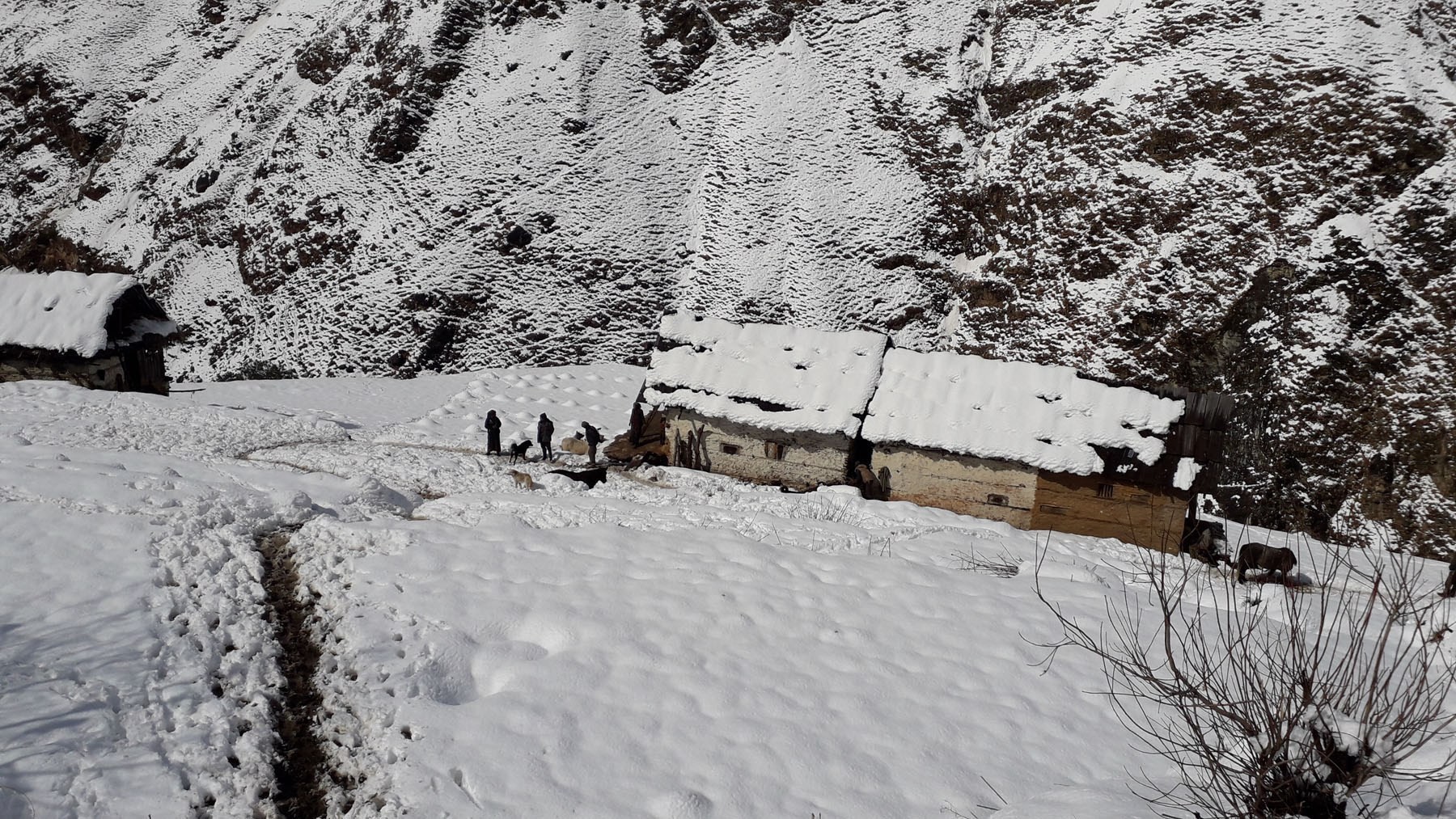 हिमपातले गर्दा बन्द भएका विद्यालय सञ्चालनमा