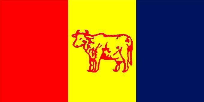 राप्रपा महाधिवेशनका लागि सामाजिक, राजनीतिकलगायतका कार्यपत्र पारित 