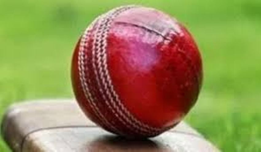 त्रिकोणात्मक टी–ट्वान्टी क्रिकेट सिरिजमा नेदरल्यान्ड्सको पहिलो जित