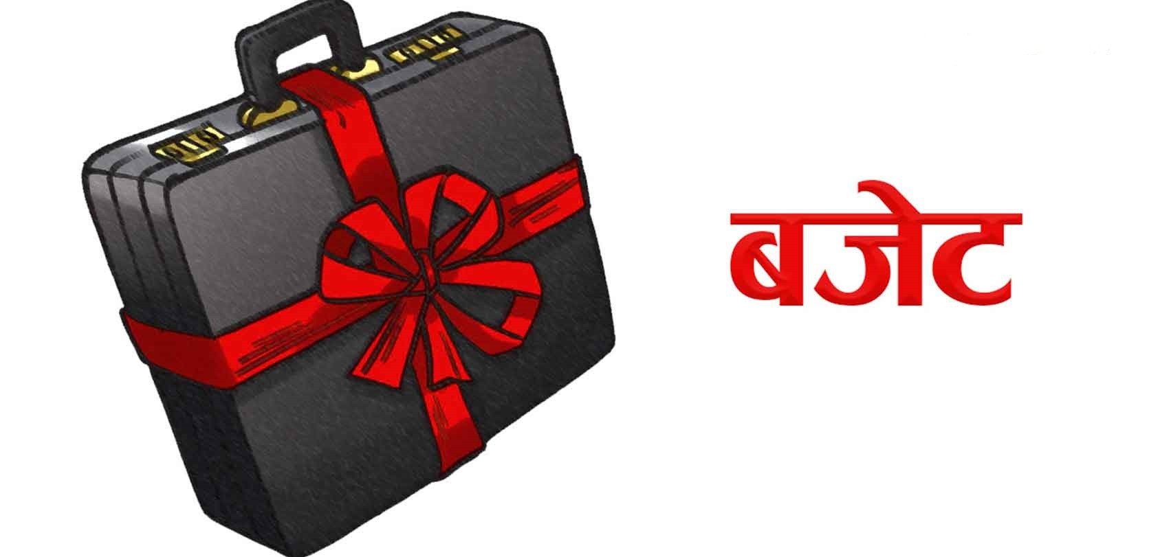 सार्वजनिक बजेटप्रति अर्थशास्त्री र पूर्व अर्थमन्त्रीहरुको मिश्रित प्रतिक्रिया