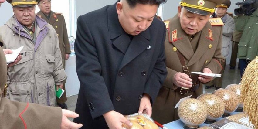 उत्तर कोरियामा चरम खाद्य संकट,९० को दशकमा जस्तै लाखौं मानिस खानै नपाएर मर्नसक्ने राष्ट्रसंघको चेतावनी