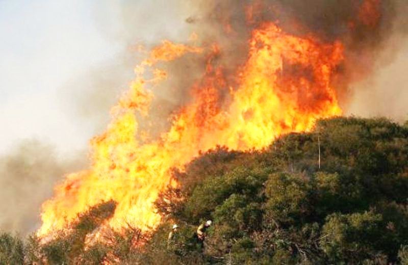 टर्कीमा अत्यधिक गर्मी : जंगलमा आगलागी हुँदा ७ जनाको मृत्यु, सयौं नागरिक विस्थापित