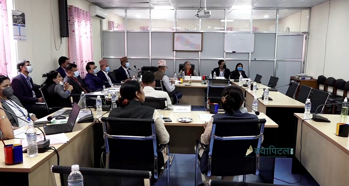 स्थानीय तहमा सूचना प्रविधिको पहुँच सुनिश्चित गर्न सरकारलाई विकास तथा प्रविधि समितिको निर्देशन