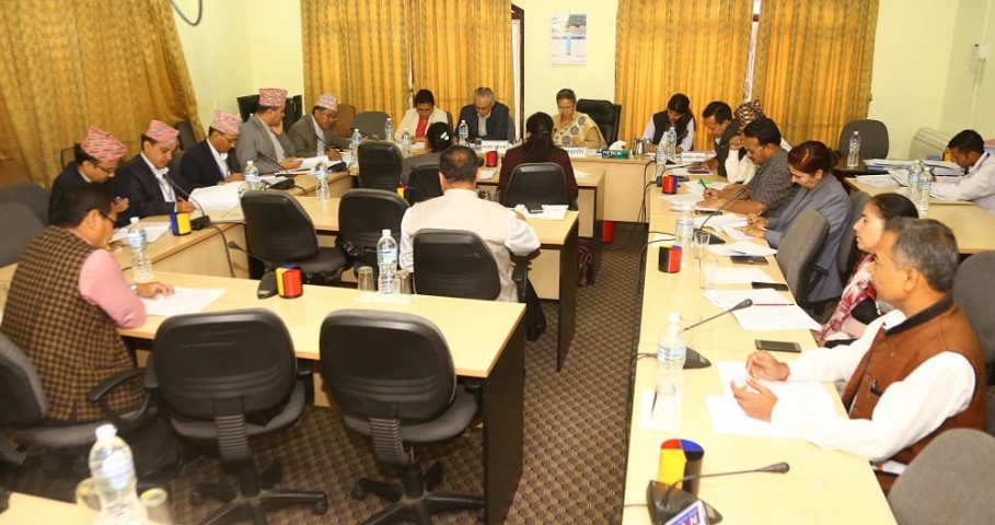 धितोपत्र बोर्ड र नेप्सेका पदाधिकारीलाई कारबाही गर्न अर्थ समितिको निर्देशन