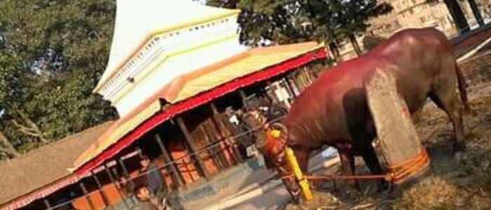 महानवमीको अवसरमा खःमेय् जात्रा मनाइयो