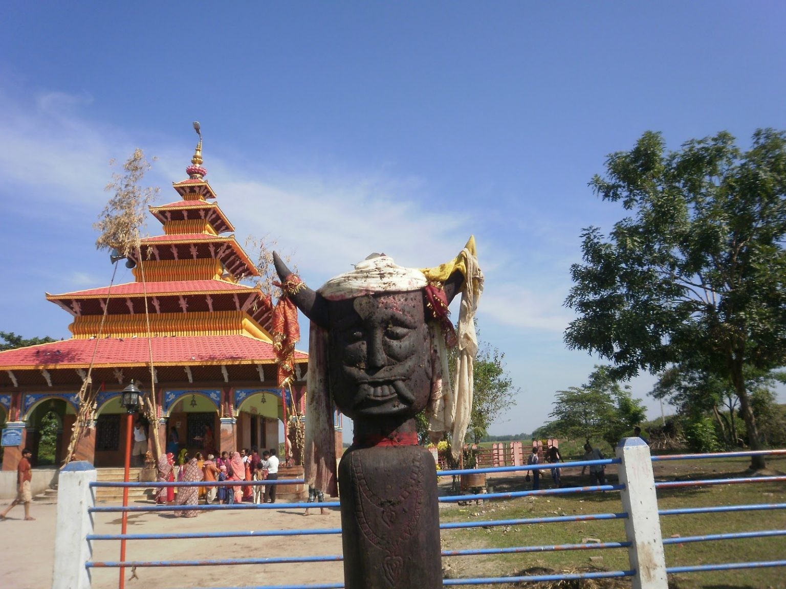 सप्तरीको कंकालिनी भगवती मन्दिरमा ७४४ राँगाको बलि