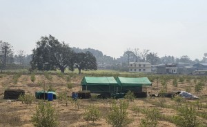 ‘सिभिल इन्जिनियर’ अध्ययन गरेर व्यावसायिक कागतीखेती रमाउँदै प्रतीक