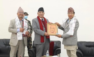 स्रष्टाको सम्मानले राष्ट्रको गरिमा बढ्छ :  प्रधानमन्त्री