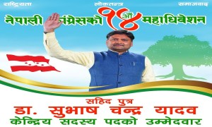 कांग्रेस केन्द्रीय सदस्यबाट चौधरीलाई पदमुक्त नगरे अदालत जान्छु : यादव