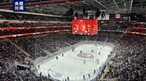 अमेरिकामा चिनियाँ बसन्त चाड गाला सम्बन्धी साँस्कृतिक कार्यक्रम