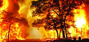 डढेलो निभाउन जाँदा म्याग्दीमा एकको मृत्यु, एक जना गम्भीर घाइते