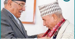 नेपाली कम्युनिष्ट पार्टीको राष्ट्रिय सभा दलको नयाँ नेतृत्व गठन