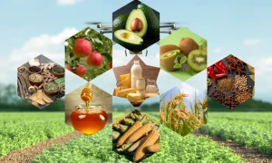 कृषि क्षेत्रमा लगानी विस्तार गर्दै राष्ट्रिय वाणिज्य बैंक