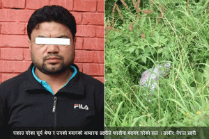 गायिका सुनार मृत्यु प्रकरण - प्रेमीलाई पाँच दिन हिरासतमा राख्न अदालतको अनुमति