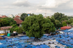 भृकुटीमण्डपमा ५० भन्दा बढी व्यवसायीले भाडा तिरेनन्-सरकार छानबिनमा