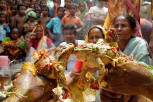 पानी पार्न भन्दै चितवनमा ‘हरहर महादेव’ र्‍याली, स्याङ्जामा भ्यागुताको बिहे
