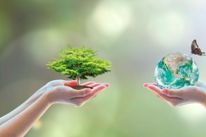 आज जैविक विविधता दिवस   