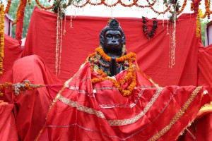 नेपालगञ्जमा हनुमान जयन्ती सुरु